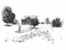 Schmiedeberg_6 [2021]